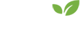 Pulduo